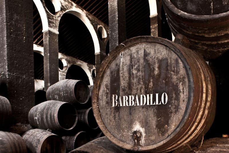 barbadillo