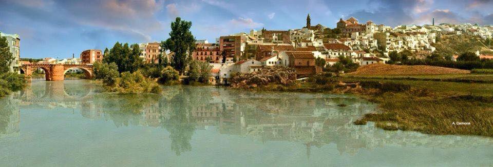 puentegenilpanoramica