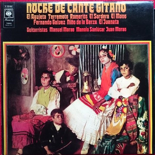 nochedecantegitanoport