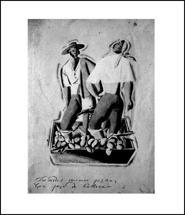 PisadelaUvaFlamencosdeJerez