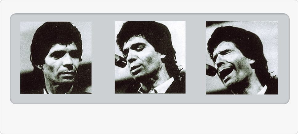 Camaron-Vivire-Interior_Frontal1