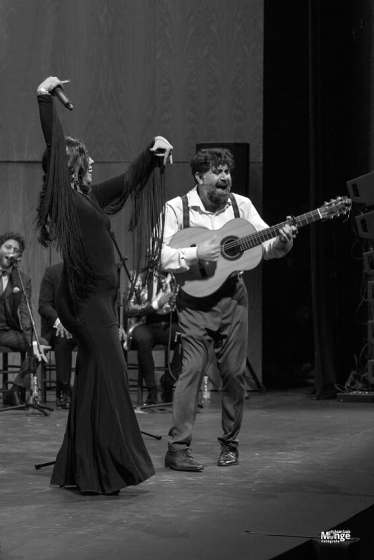 luisdeperiquinvillamarta