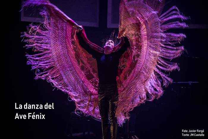 ©Javier Fergo para Festival de Jerez