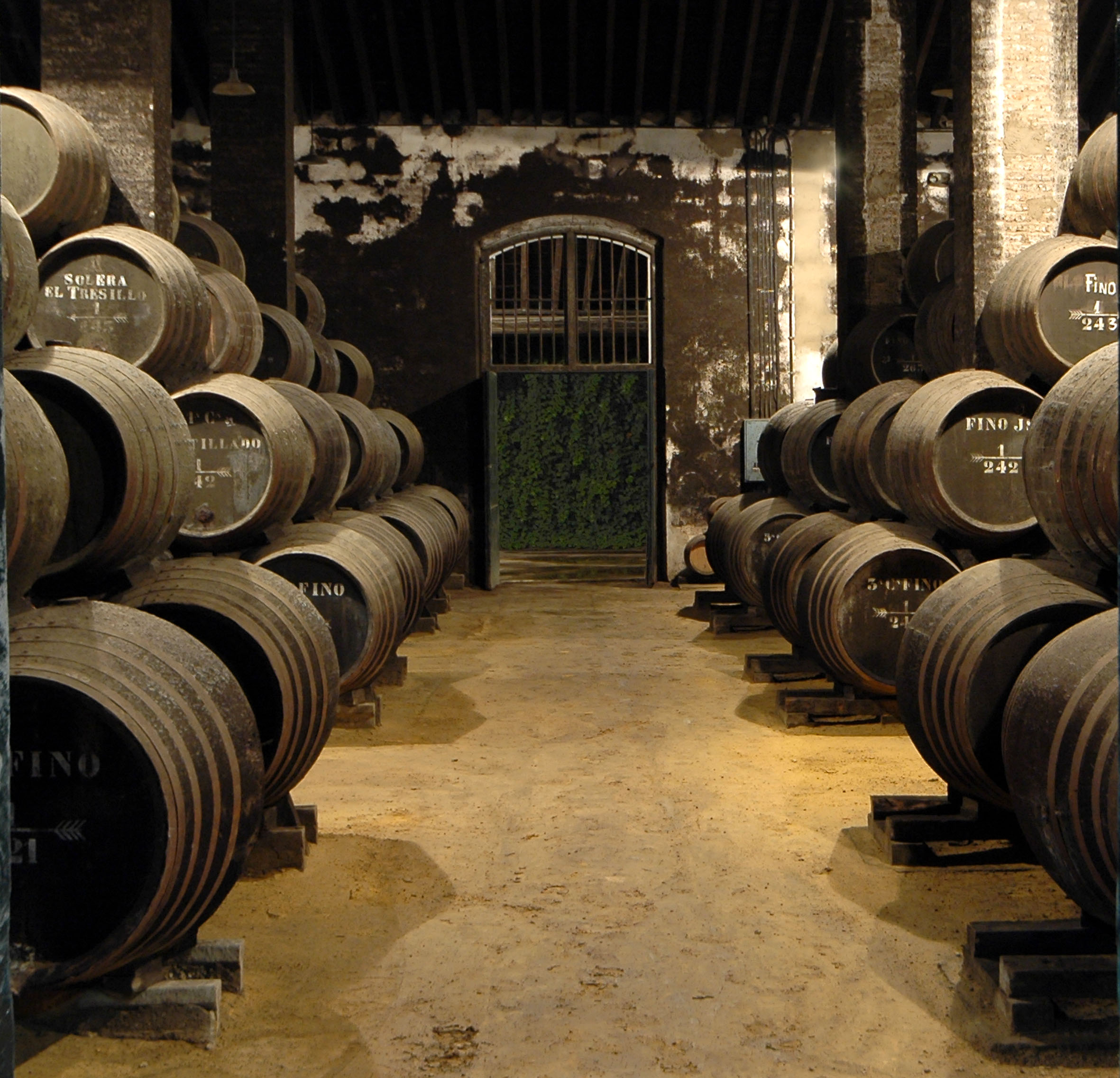 Hidalgo Entrada B. PRIVILEGIO