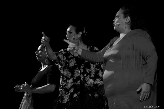 vierneschaconmujerez