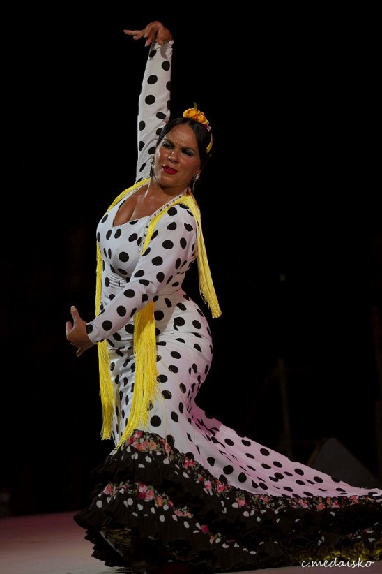 vierneschaconrociomarin