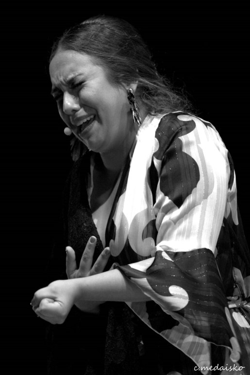 fiestabulmariaterremoto