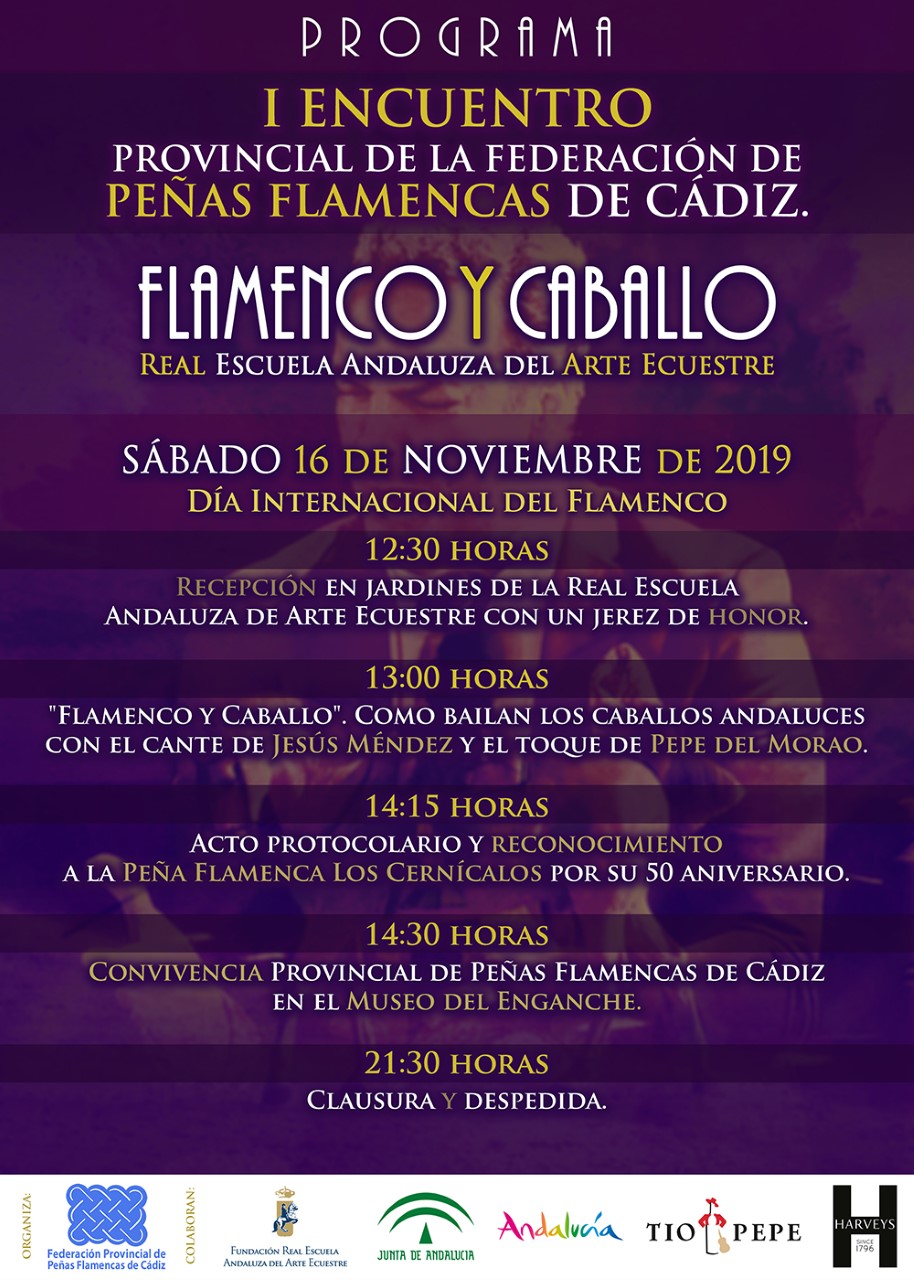 flamencoycaballorealescuela