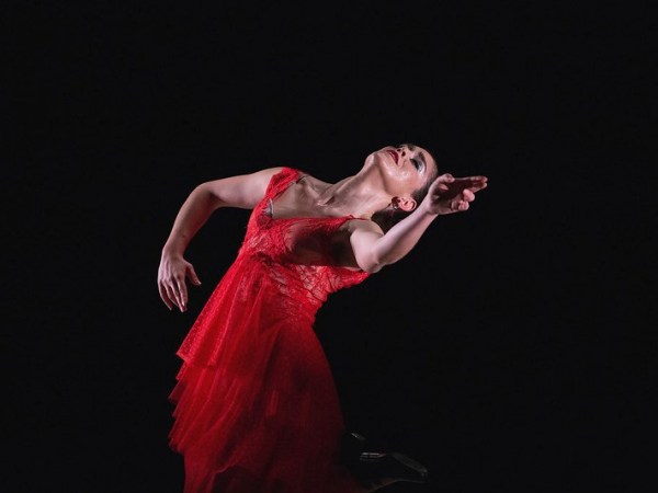 Disponible la revista Zoco Flamenco de los meses de octubre y noviembre&nbsp;2026