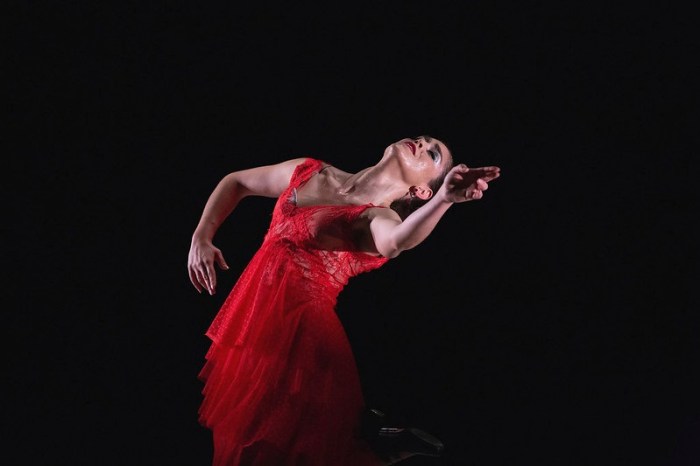 Disponible la revista Zoco Flamenco de los meses de octubre y noviembre&nbsp;2026