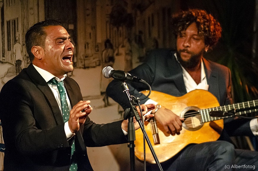 Unas letras por soleá para “Albariza” de José Mijita (vídeo)