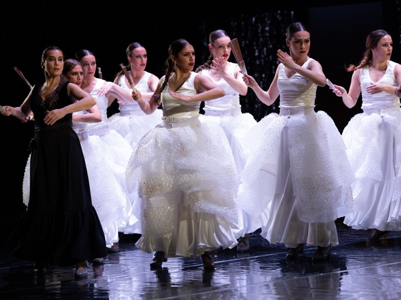 Nuevo número de la revista Zoco Flamenco, junio de&nbsp;2026