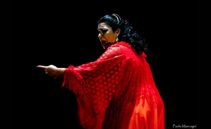 La 53 Noche Flamenca de Vejer se escribe en femenino con un gran&nbsp;cartel