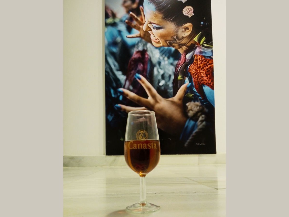 Momo y Baco se reencuentran en la Torre Tavira de&nbsp;Cádiz