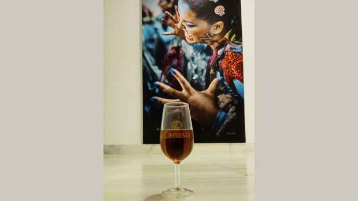 Momo y Baco se reencuentran en la Torre Tavira de&nbsp;Cádiz