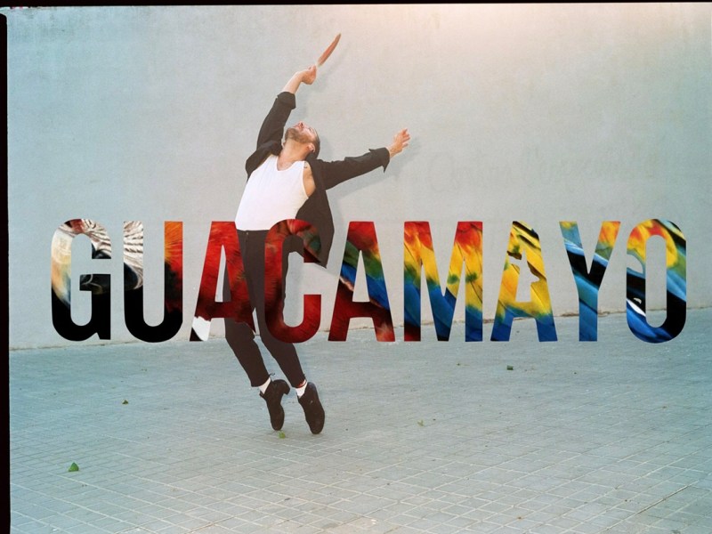 José Maldonado presenta ‘Guacamayo’, proyecto que une baile y pintura en&nbsp;vivo